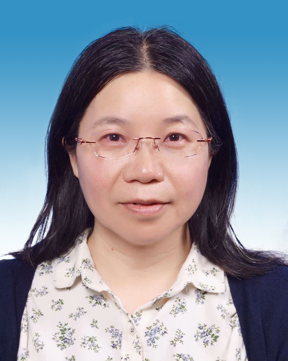 党委委员、副院长 李凯辉