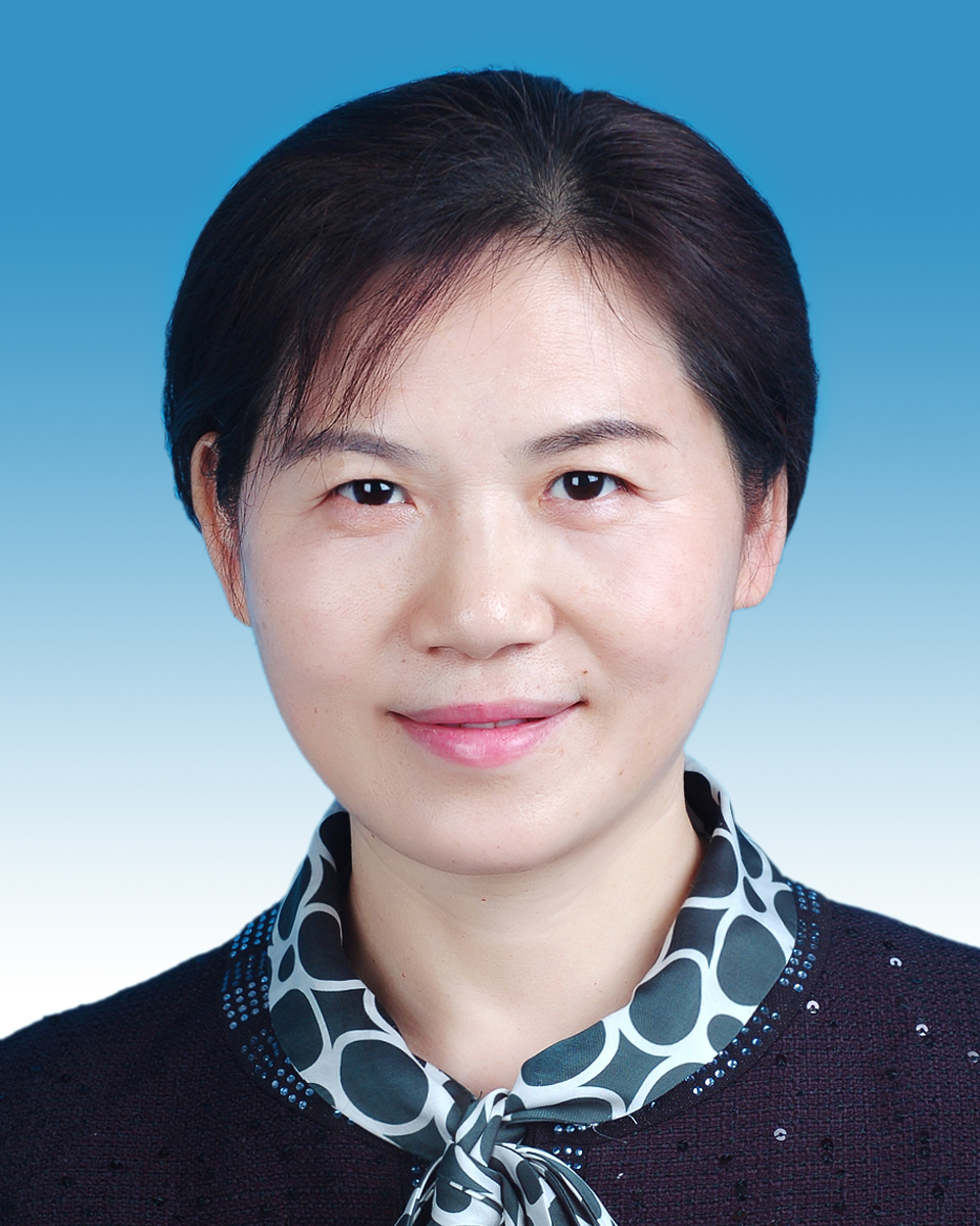 党委委员、副院长 莫文斌